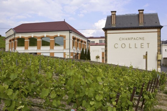 Vignoble_et_maison_Collet