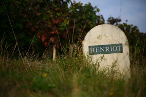 J’ai goûté pour vous … Brut Rosé 2008 – Champagne Henriot – Reims